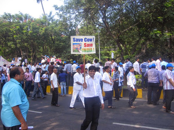 Manifestación Save Cow en las calles | India | Stylefeelfree