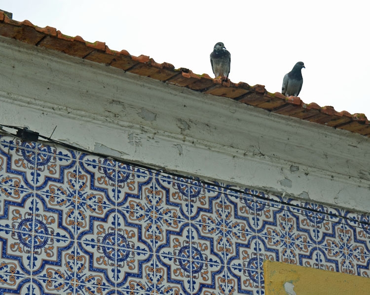 Azulejos de Beira Mar | StyleFeelFree
