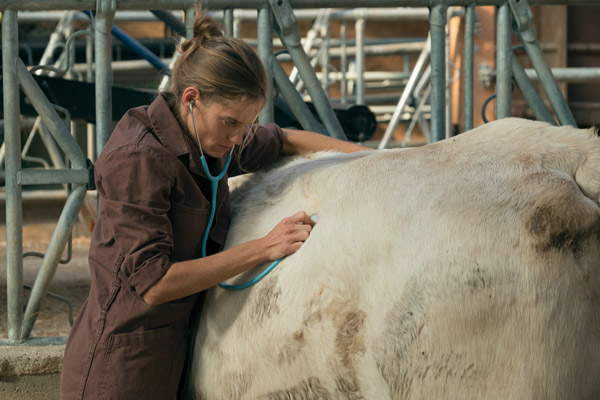 Una veterinaria en la Borgoña (2019) de Julie Manoukian