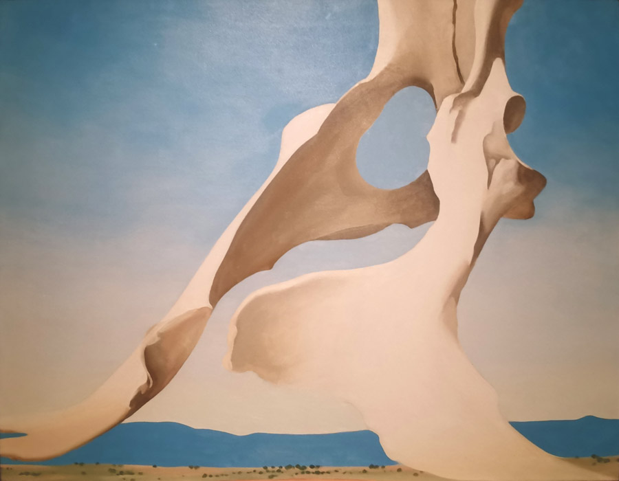 Georgia O'Keeffe en Nuevo México | StyleFeelFree